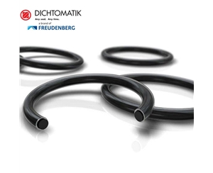 DICHTOMATIK O型圈 O-RING 